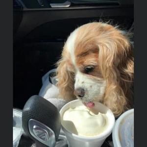 Meet your Posher, Carly